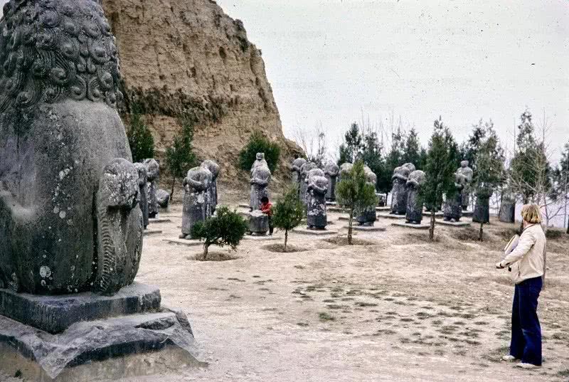 明朝嘉靖年间，关中大地震造成83万人死亡，黄河倒流，大地震动5年